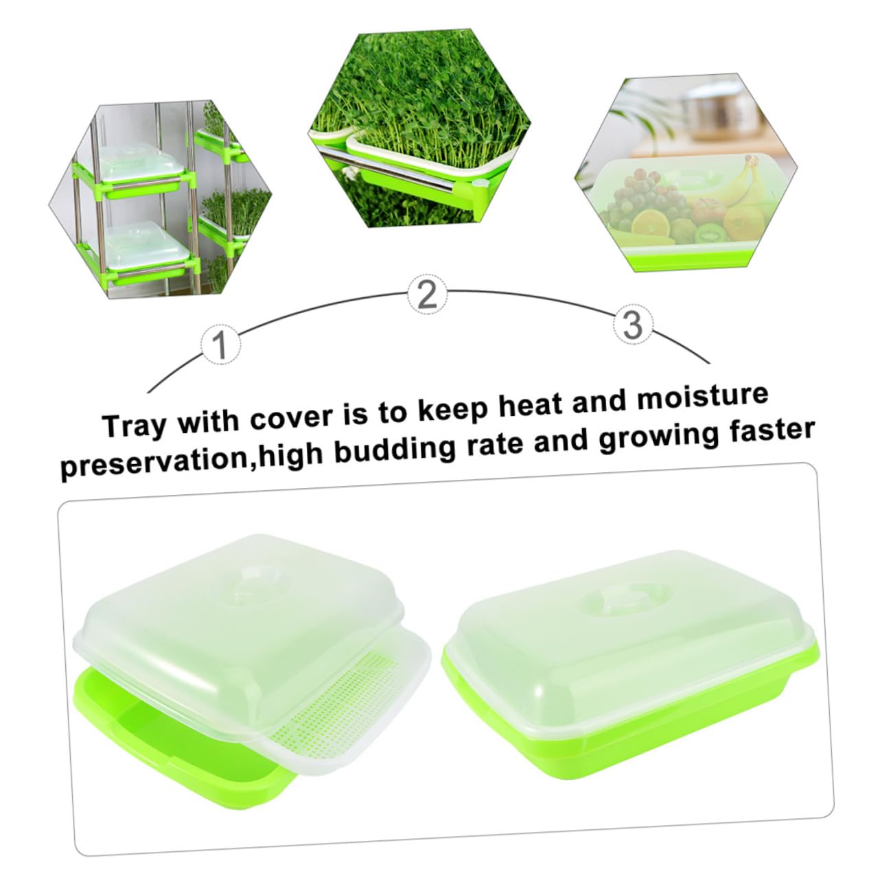 2 Juegos de Bandejas para Germinadores Tapa, Plástico Verde sin Tierra, Cultivo Rápido de Brotes Saludables en Casa Estilo Aleatorio