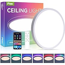 12 Inch Smart Ceiling Light, RGB+IC LED Flush Mount Light Fixture, 2400LM Dimmable, APP &amp; Remote Control, 2700K-6500K DIY Color Ceiling Light for Bedroom Living Room, Works with Alexa &amp; Google Home