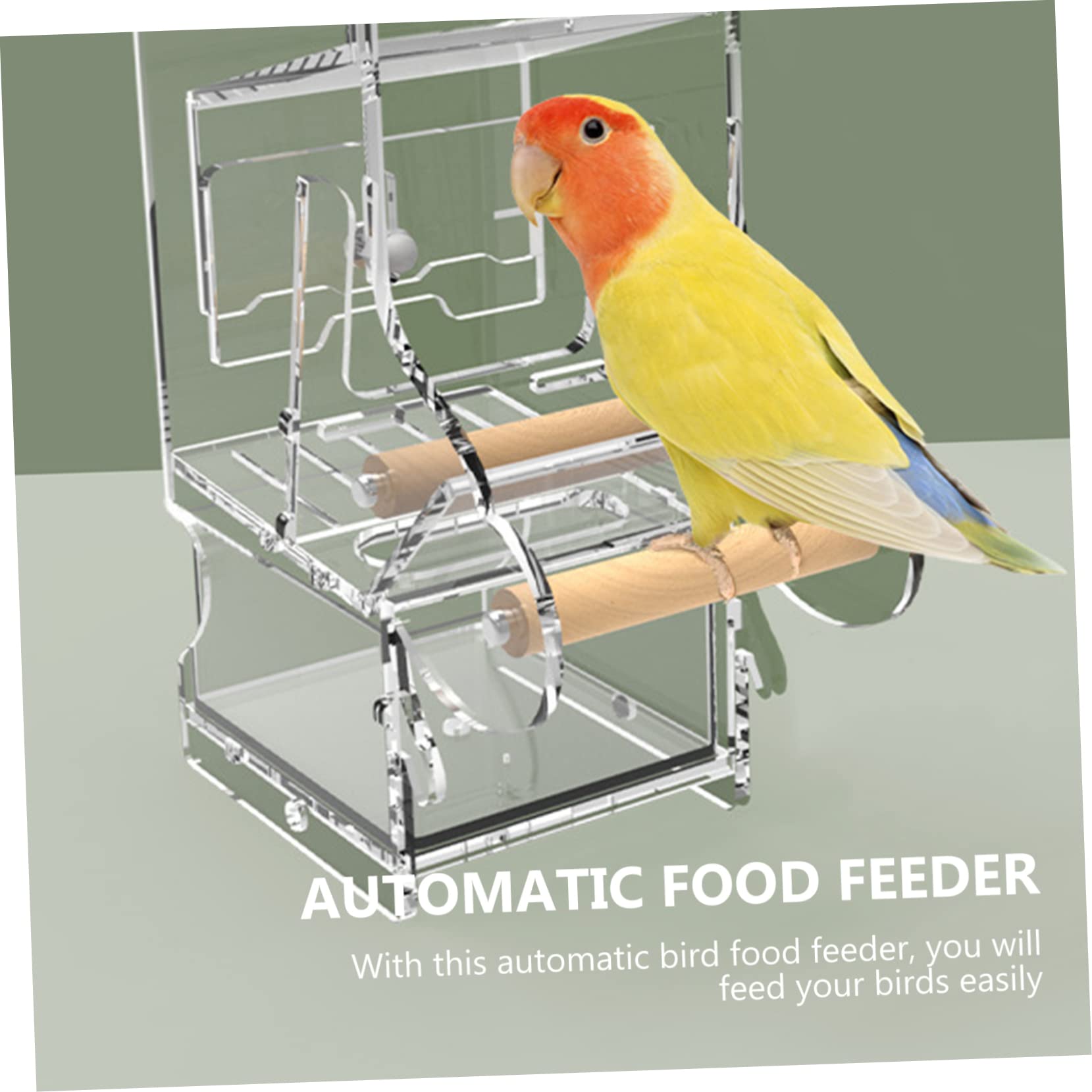 Automatischer Vogel Futterspender Für Kleine Vögel Papageien Futterstation Mit Sitzstange Lösung Für Fütterung Von Kanarienvögeln Und Anderen Kleinen Vögeln