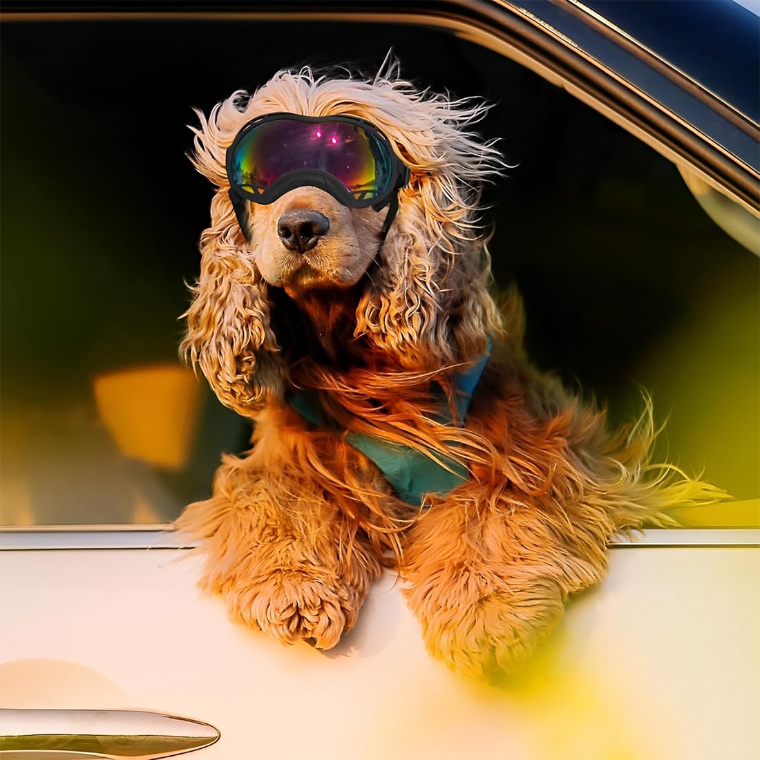 Occhiali da Sole per Cani, Occhiali da Sole Cani con Cinturini Regolabili, Protezione UV