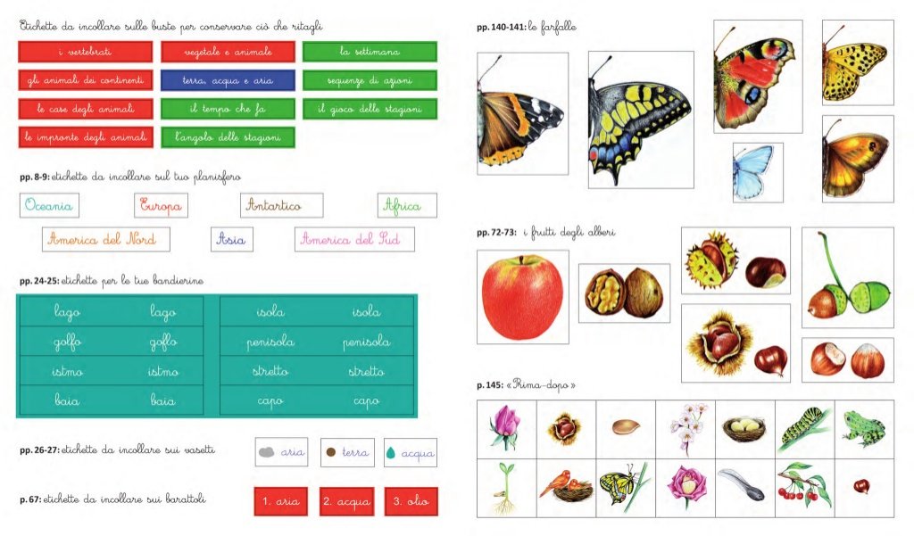 Le mie attività Montessori. Ediz. illustrata