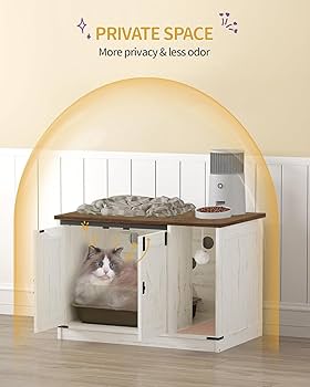 family cats　0618 Cat for adoption - Louie & Purrcilla (Bonded Pair), a