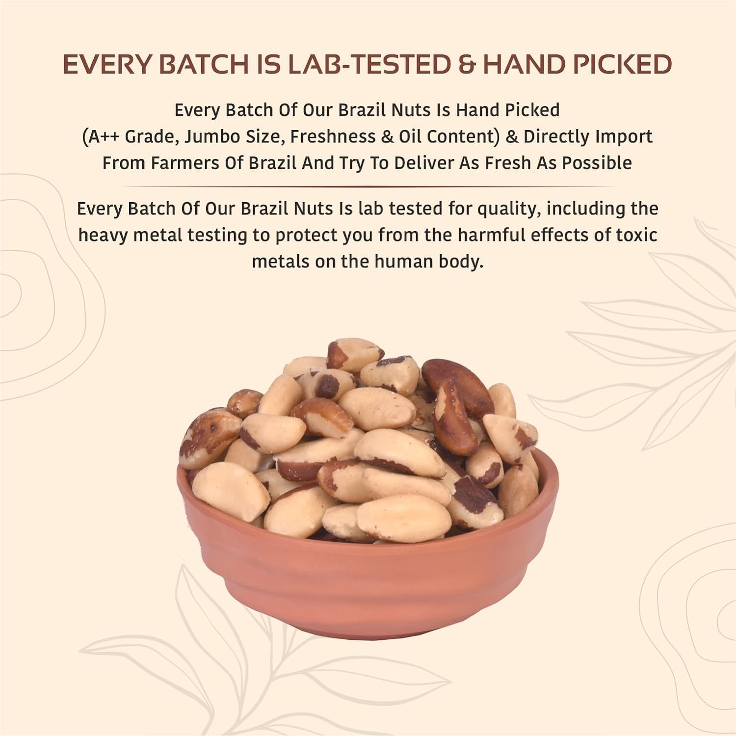 NUTTY ORGANICS Brazil Nuts - 100G (Grade A ++ Nuts, Premium Jumbo Size) - Richest Natural Source Of Selenium - Image 6 thumbnail