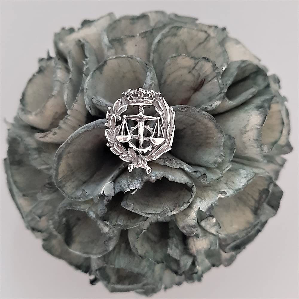 Insignia de Graduado Social en Plata de Ley 925, con Estuche