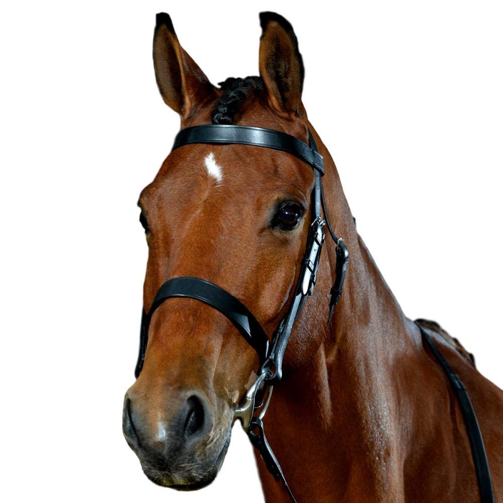 Collegiate Hunt Cavesson Bridle IV, Brown, Cob