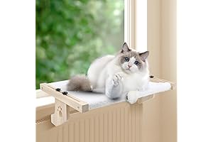 Cat Hammock Bed: The Purr-fect Window Perch for Indoor Kitties