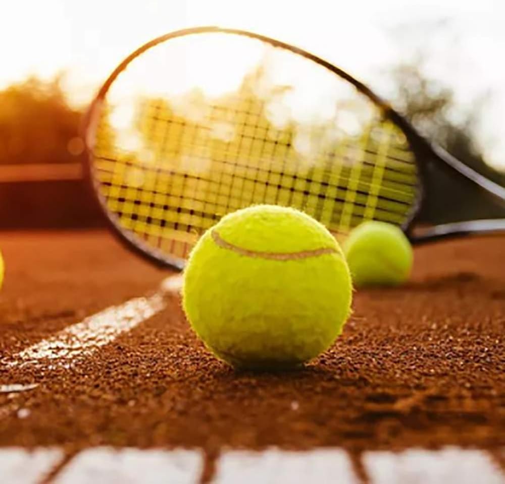 URBEST Tennis Balls, 12 Packs Training Tennis Balls Practice Balls for Novice Player, Pet Dog Playing Balls with Mesh Carry Bag (Blue) : Sports & Outdoors