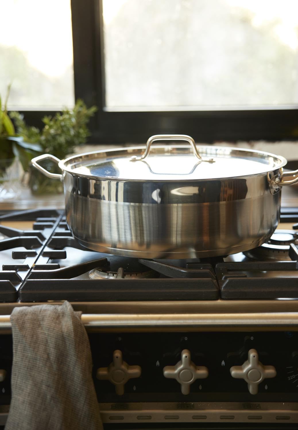 BAUMALU, Mijoteuse avec couvercle, en inox de qualité professionnelle, finition brossée, poignées rivetées robustes, cuisson homogène et sans accroche, 36 cm