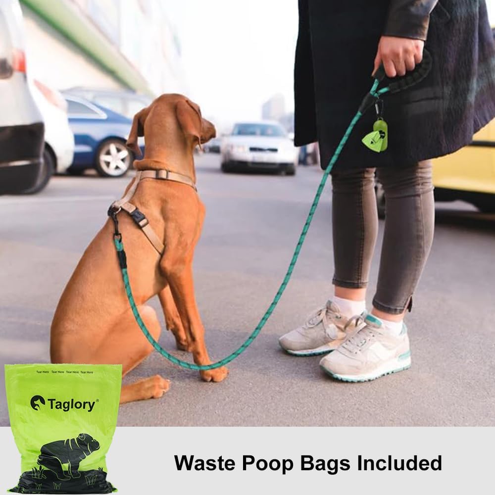 Detalj podstavljene ručke