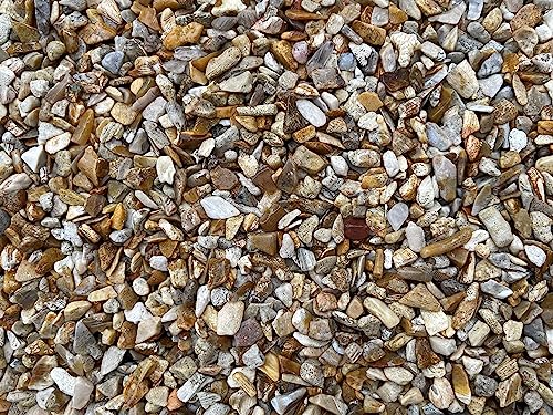 Image of Natural Semi Tumbled Fossil Coral Gemstone Chips - 2 oz Lot, Undrilled Crystal Chips