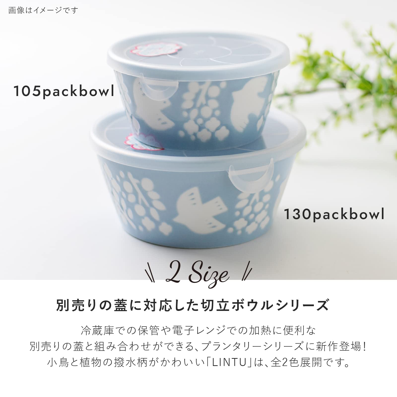 Amazon.co.jp: みのる陶器 美濃焼 PLANTAREE-LINTU- 105パックボウル