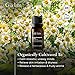Gya Labs Roman Chamomile Essential Oil for Diffuser - 0.34 Fl Oz - 100% Pure Natural Roman Chamomile Oil for Skin, Hair, Face, Aromatherapy & Candle Making Scent