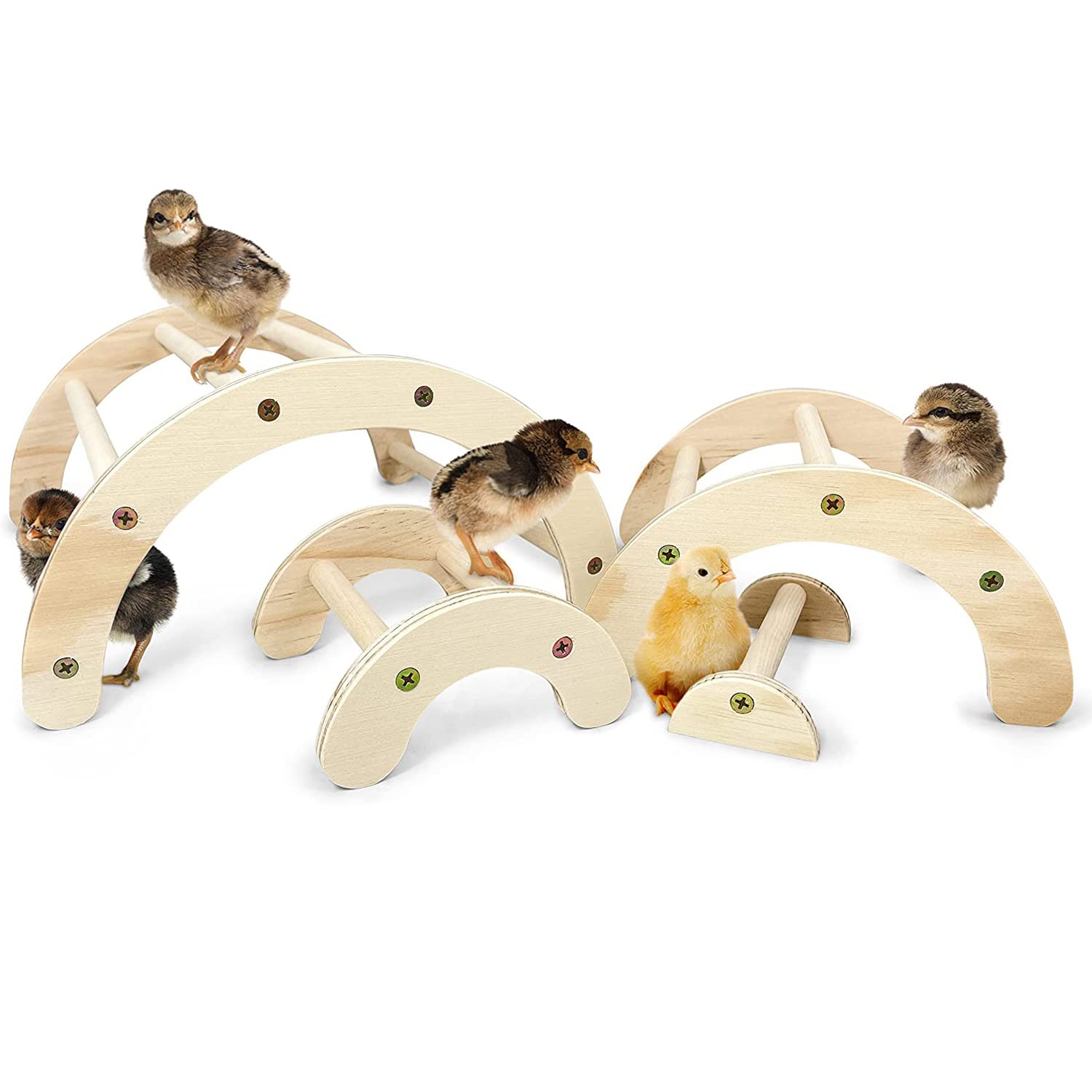 4 Pz Pulcino Supporto in Legno Posatoi per Uccelli Posatoi in Legno Pulcino Persico con 5 Pz di Palline in Rattan per Galline Pappagallo