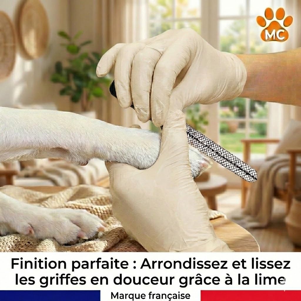 Coupe-Griffes Chien Chat Lapin Silencieux avec Lime à Ongles Incluse - Mécanisme à Ressort - Acier Inoxydable Antirouille - Marque Française Petits & Grands Animaux