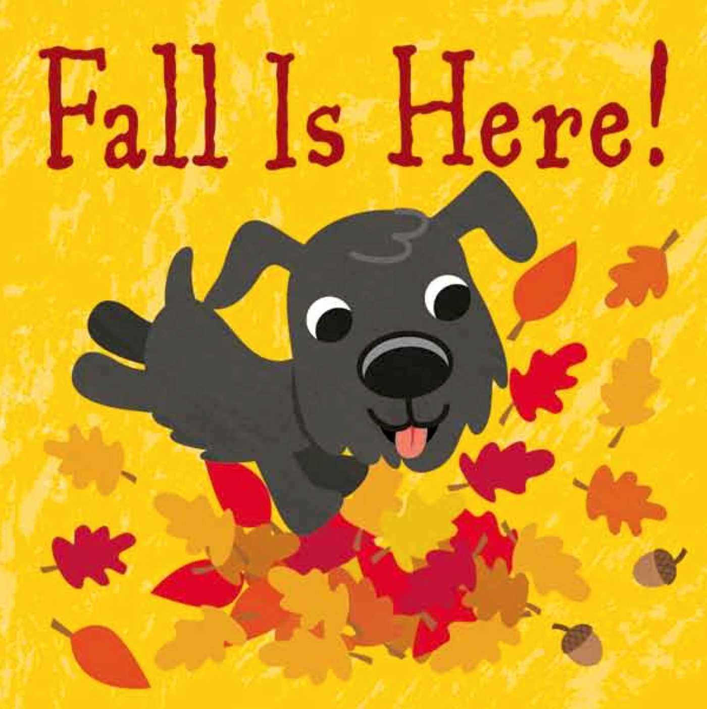 Fall Is Here! Board book – July 7, 2015