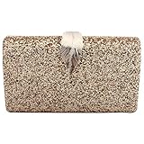 Das perfekte Geschenk: Diese Abendhandtasche hat viele verschiedene Stile, mit einer schönen Kette, kann als Umhängetasche, Umhängetasche, Brieftasche verwendet werden, ist Ihr bestes Geschenk für Freundin, Frau, Tochter und Freunde.
