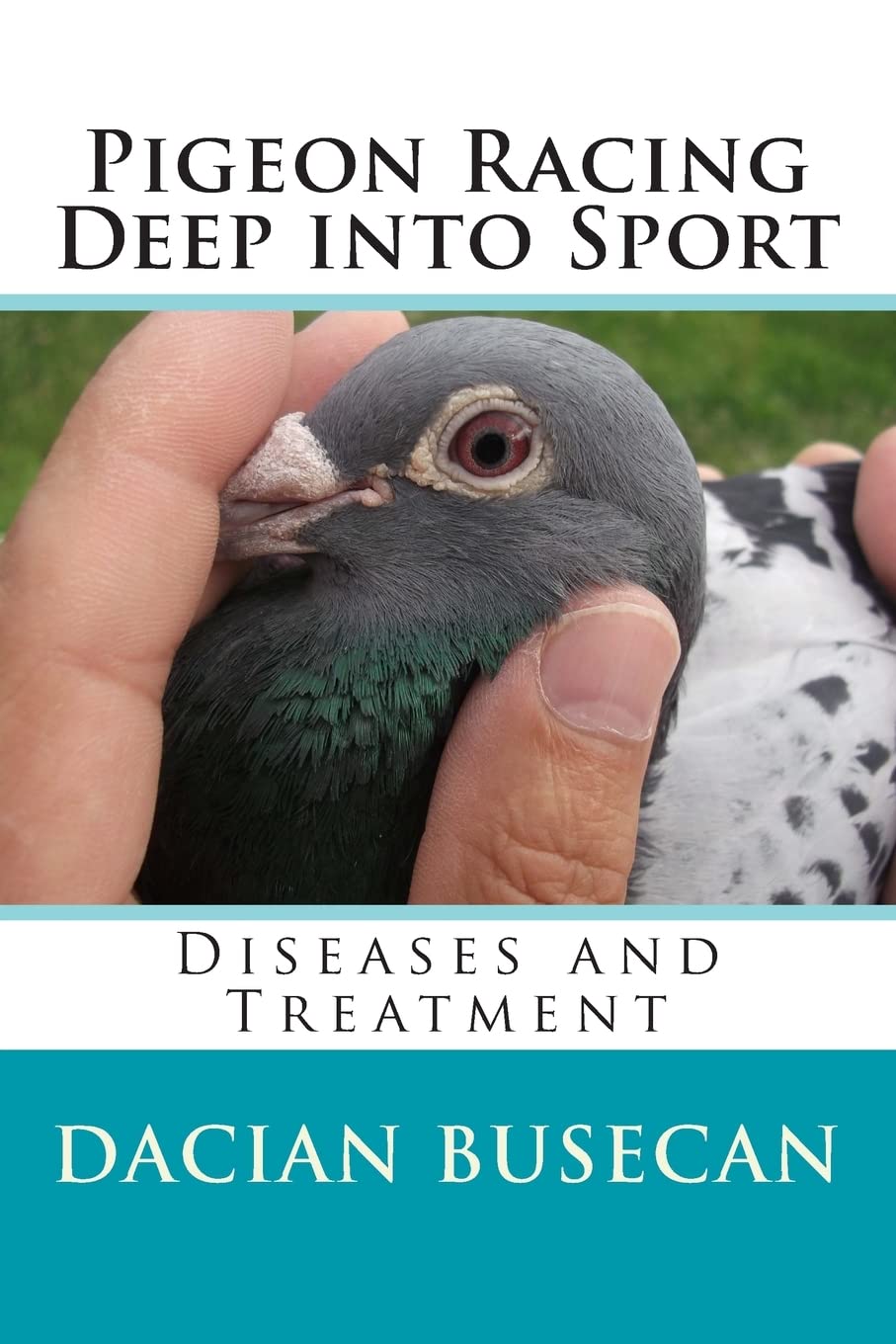 Pigeon Racing "" Deep into Sport "": Diseases and Treatment-Dacian