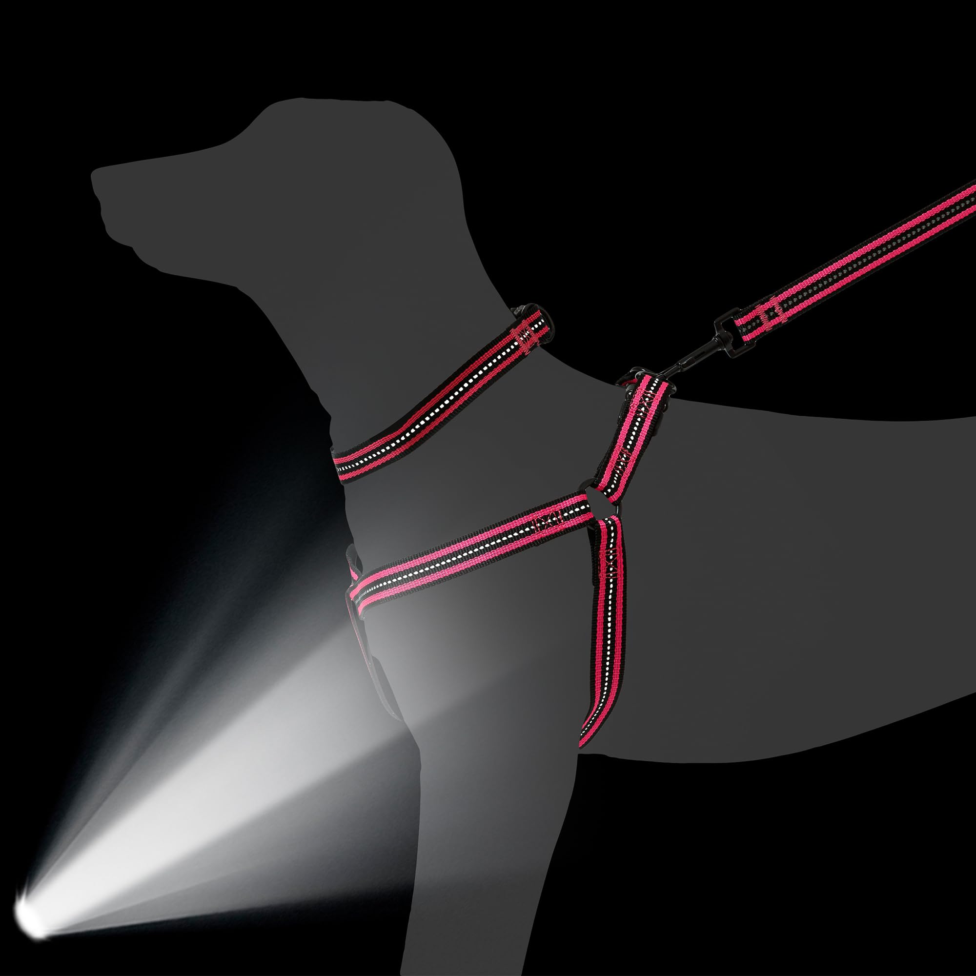 Amazon | 夜間反射 ダブルバンド ナイロン 小動物 ペット 犬 調節可能