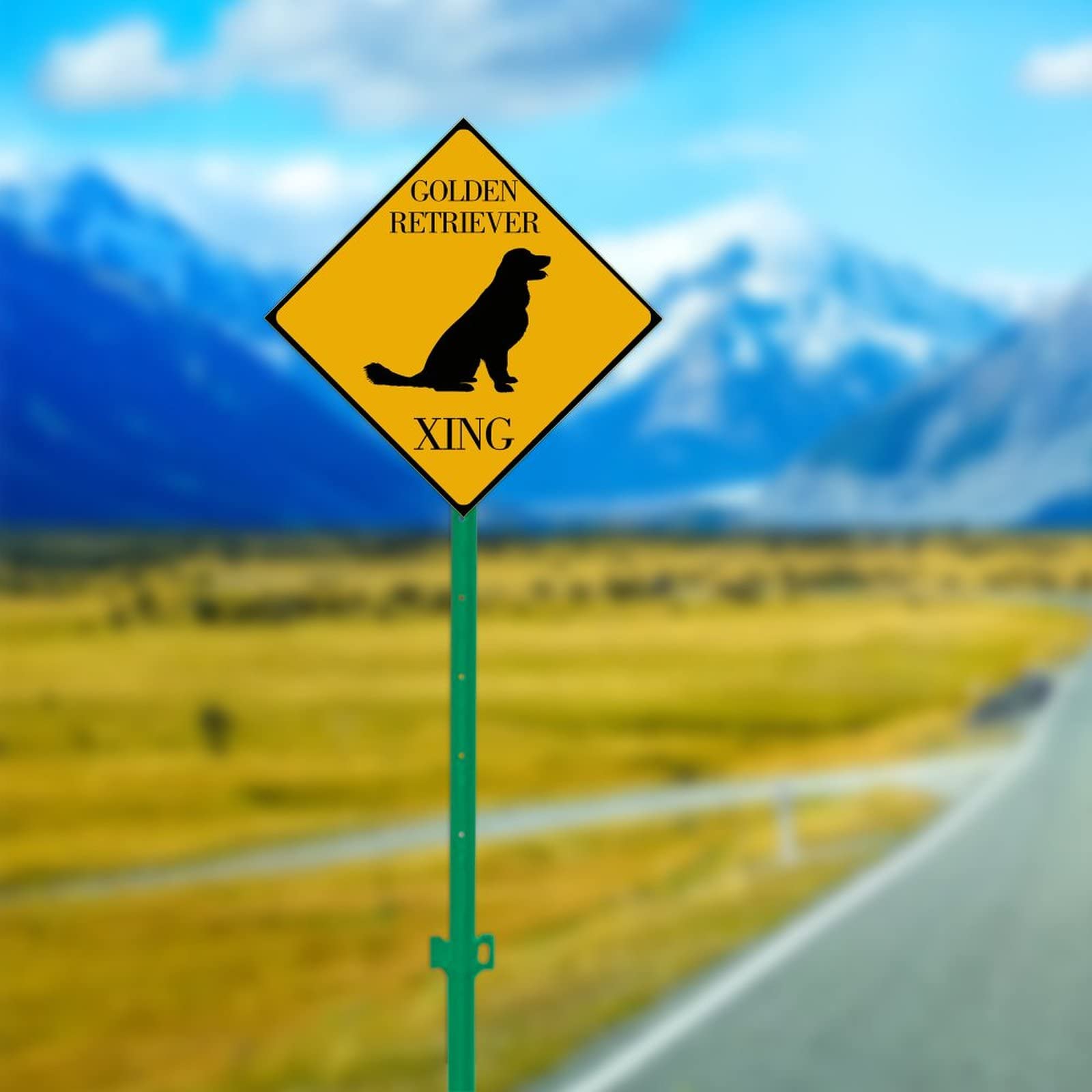 Labrador Retriever Dog Sign, Caution Dog Sign, Labrador Lover, Dog...