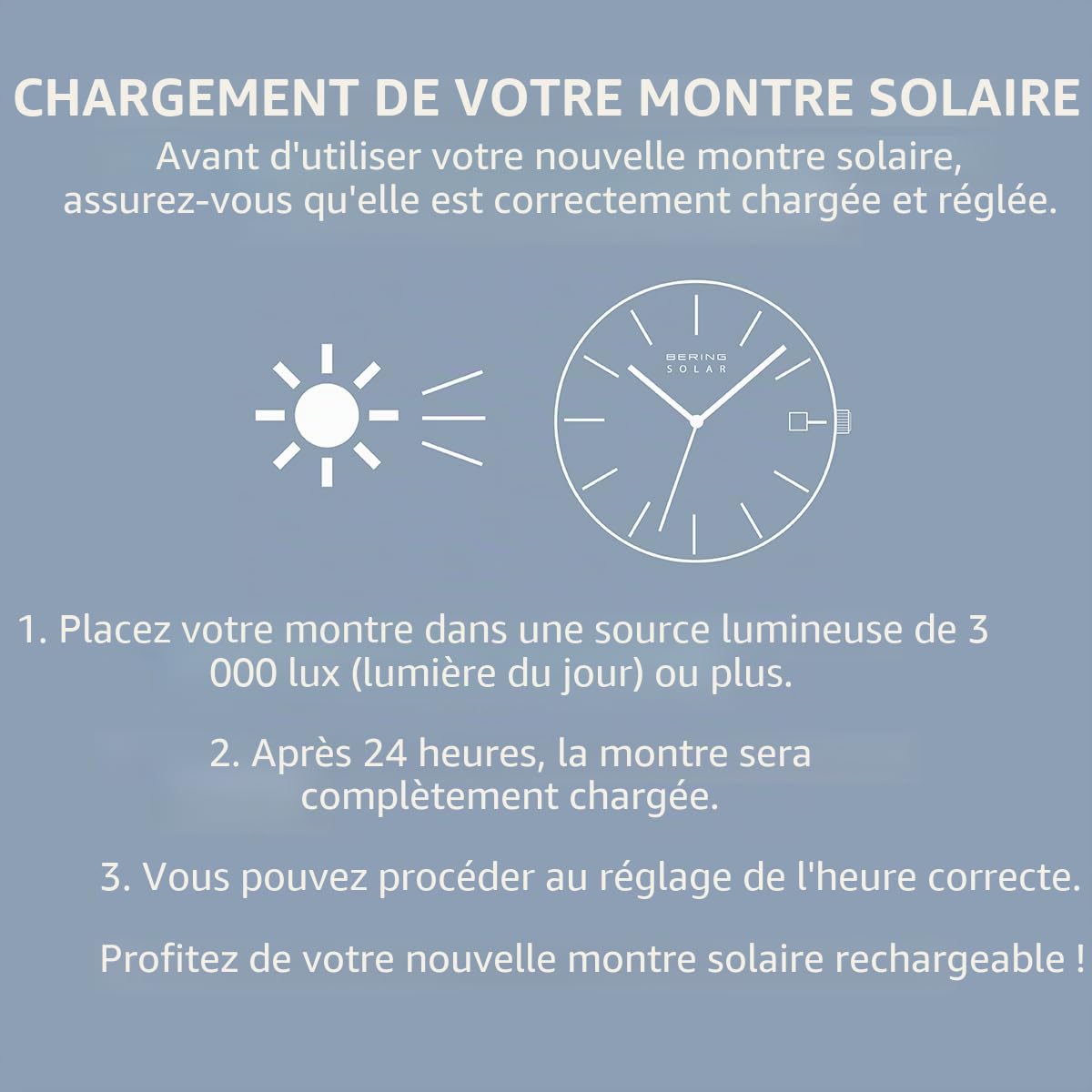 Bering Hommes Analogique Quartz Montre avec Bracelet en Acier Inoxydable