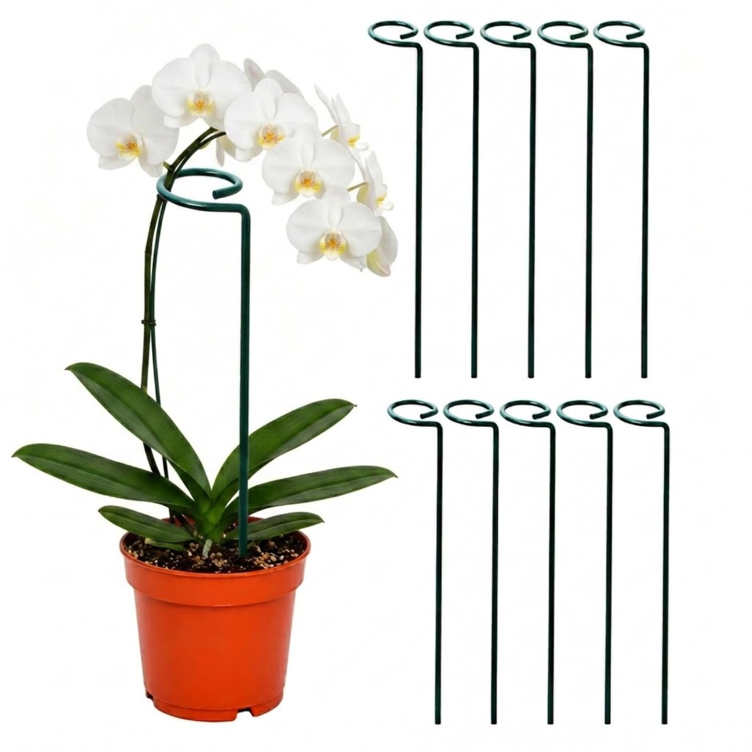 18 Inches Premium Plant Support Stakes | Sturdy Metal Plant Support Rods for Strong & Healthy Plant Growth | Light Green Garden Stakes for Indoor & Outdoor Plants (Pack of 3)-image-11