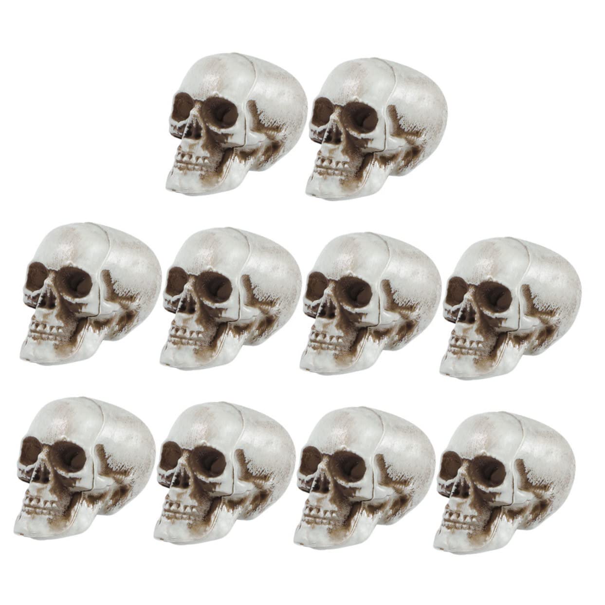 Alipis 30pezzi Scheletro Halloween Realistiche Decorazioni Spaventose Per Festive e Decorazioni Per Ed