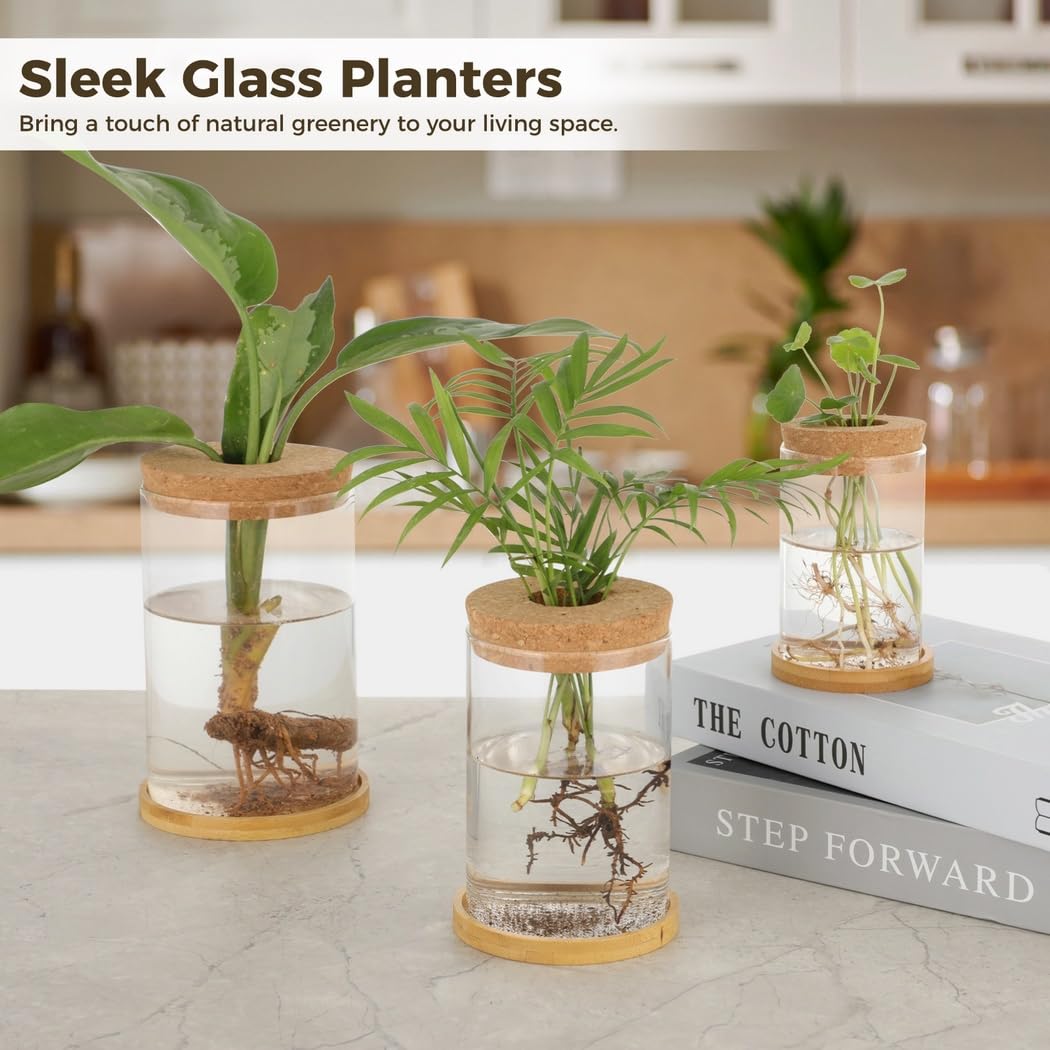 Lot de 3 vases en Verre, Stations de Propagation de Plantes hydroponiques, avec Soucoupe en Bois, vases de Plantation avec Couvercle, pour déco Bureau, Maison et Jardin