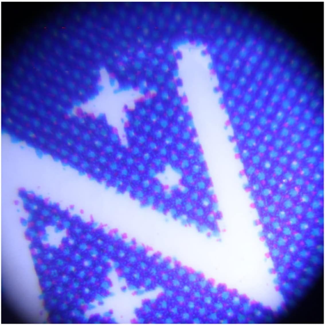 Microscope Accessories Kit 100 Times LED Illuminated Focus Adjustable Zoom Pocket Microscope Handheld Microscope Slides