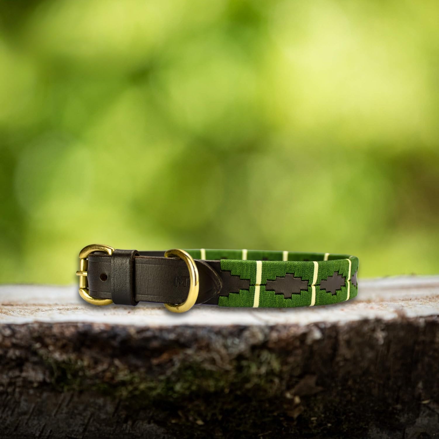 Luxury Leather Dog Collar in Polo-Style - Adjustable And Handmade From Premium Leather - Strong Buckles - XS to XL - MTB Equestrian (Green, XL) — image 1