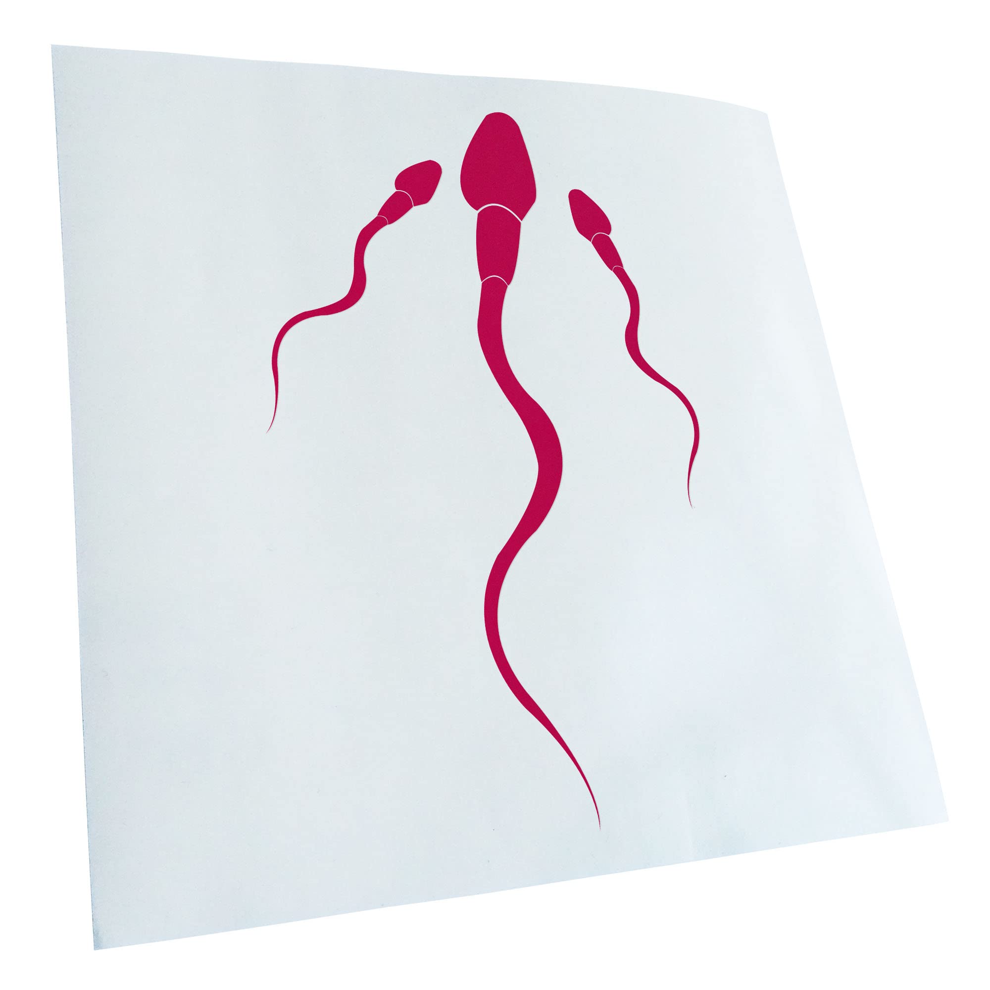 Kiwistar - Car Sticker - Pink - 50 x 33 cm - Rear Window Car Sticker Weatherproof for Car Truck Moped Truck - Sticker Exterior Self-Adhesive Tuning Accessories for Window Vehicle Window