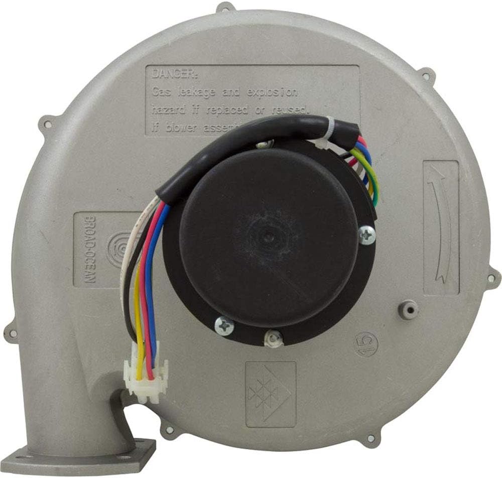 Pentair Blower Kit, MasterTemp 400/Max-E-Therm 400, NAT.