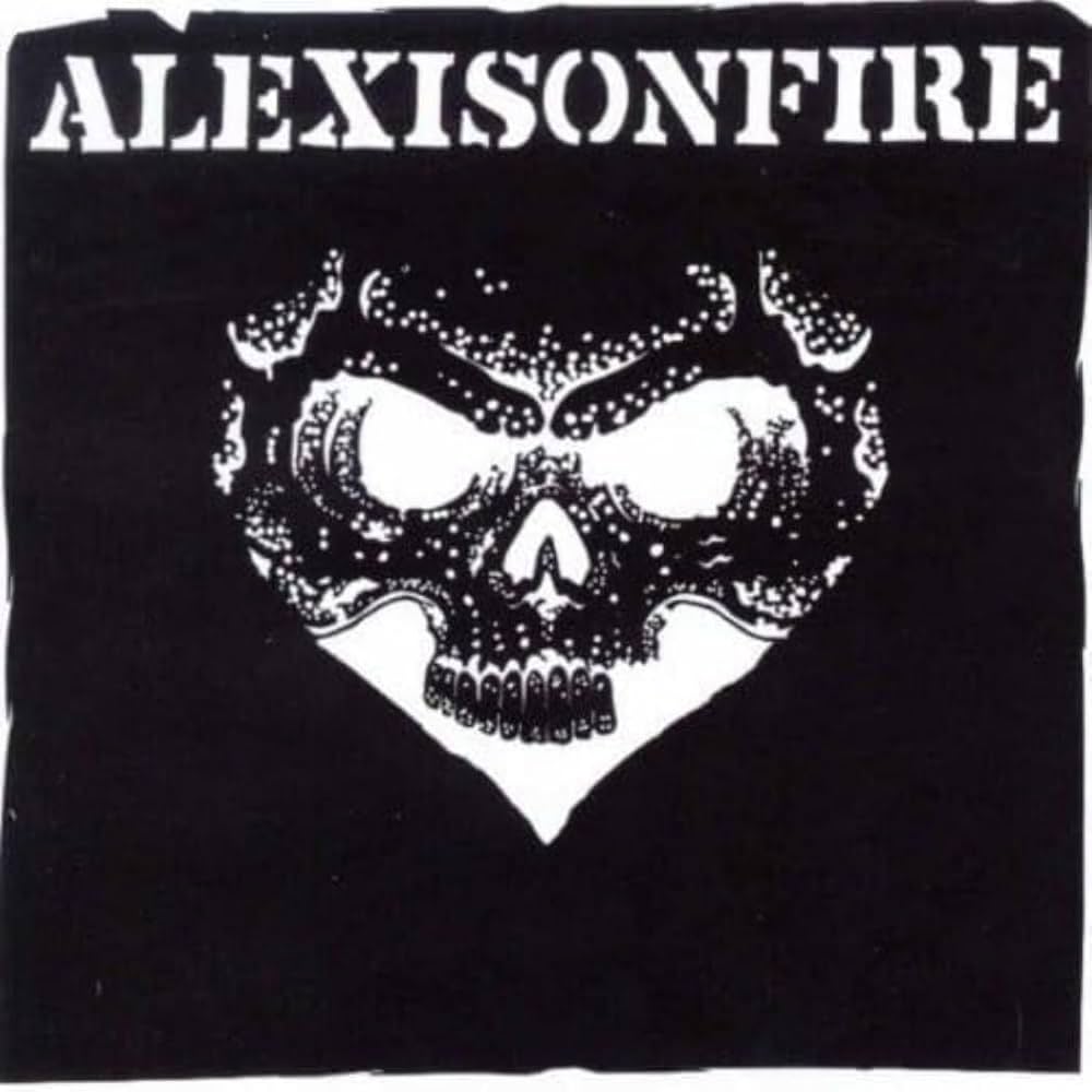 Alexisonfire Accidents 7インチ　アナログ　レコード Alexisonfire Accidents 7インチ アナログ レコード