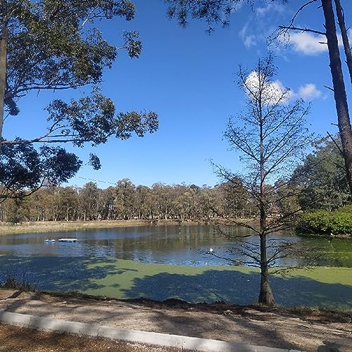 Episodio 2 -Parque Roosevelt o Parque de los derechos del ni&ntilde;o y de la ni&ntilde;a copertina