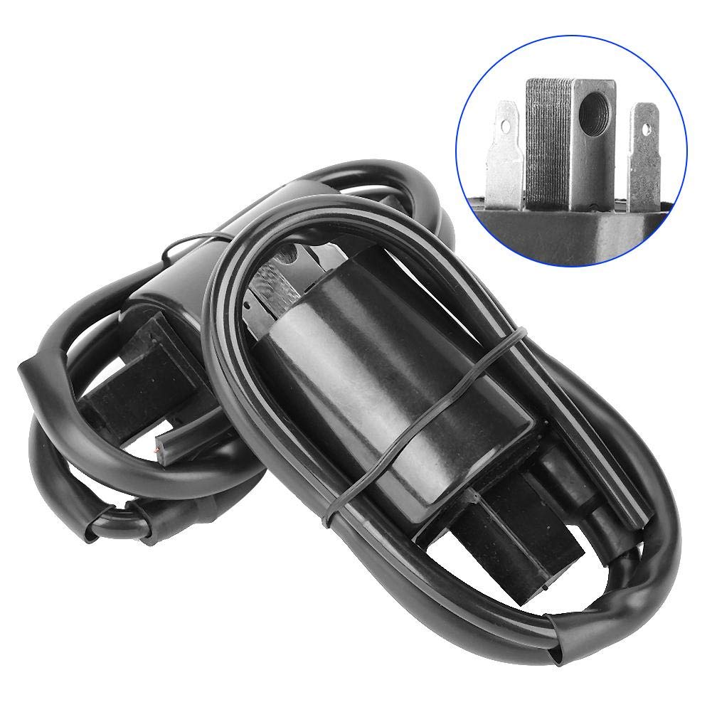 Pacco bobine accensione motore 2 pezzi adatto per Virago 750 XV750 1988-1997