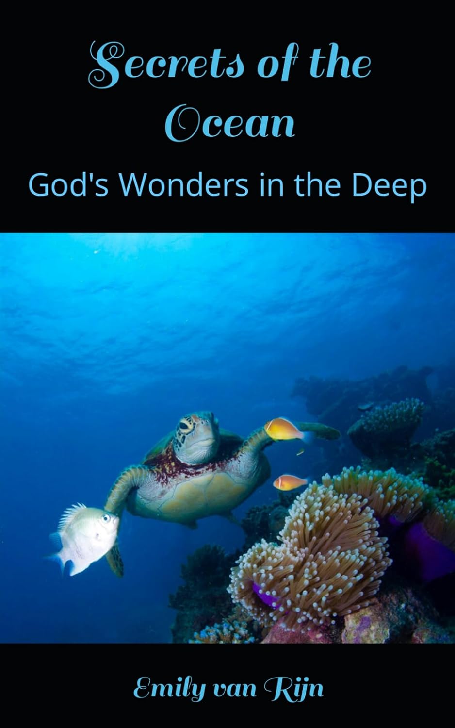 Secrets of the Ocean: God's Wonders in the Deep