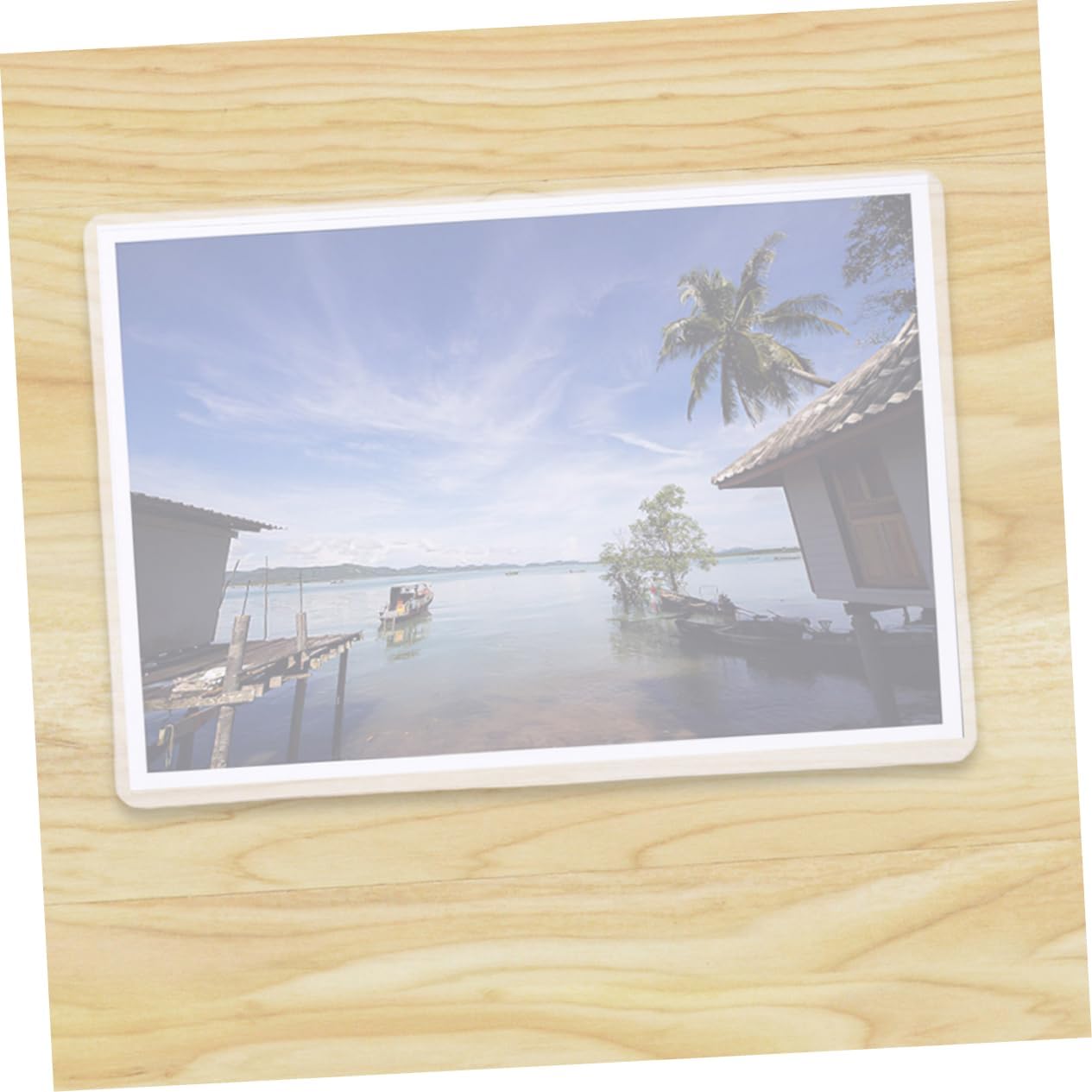 Lurrose 50pcs Hard Plastic Photo Sleeves Waterproof Card Protectors for Postcards Document Holders for Storing and Displaying Photos