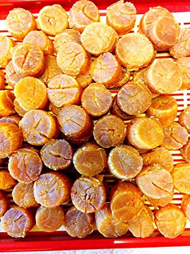 北海道産 1等検 干し貝柱 500G100粒前後入 大粒 Sサイズ