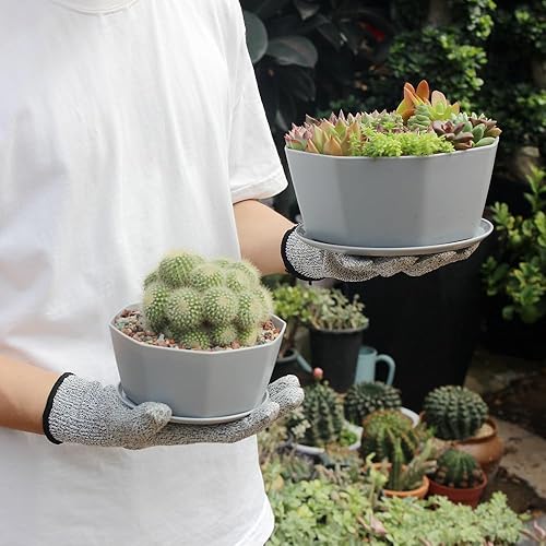 Miniatura 9 de BangQiao Paquete de 8 macetas de plástico poco profundas de 8.00 pulgadas y 5.90 pulgadas, recipiente octágono con bandeja para suculentas, cactus