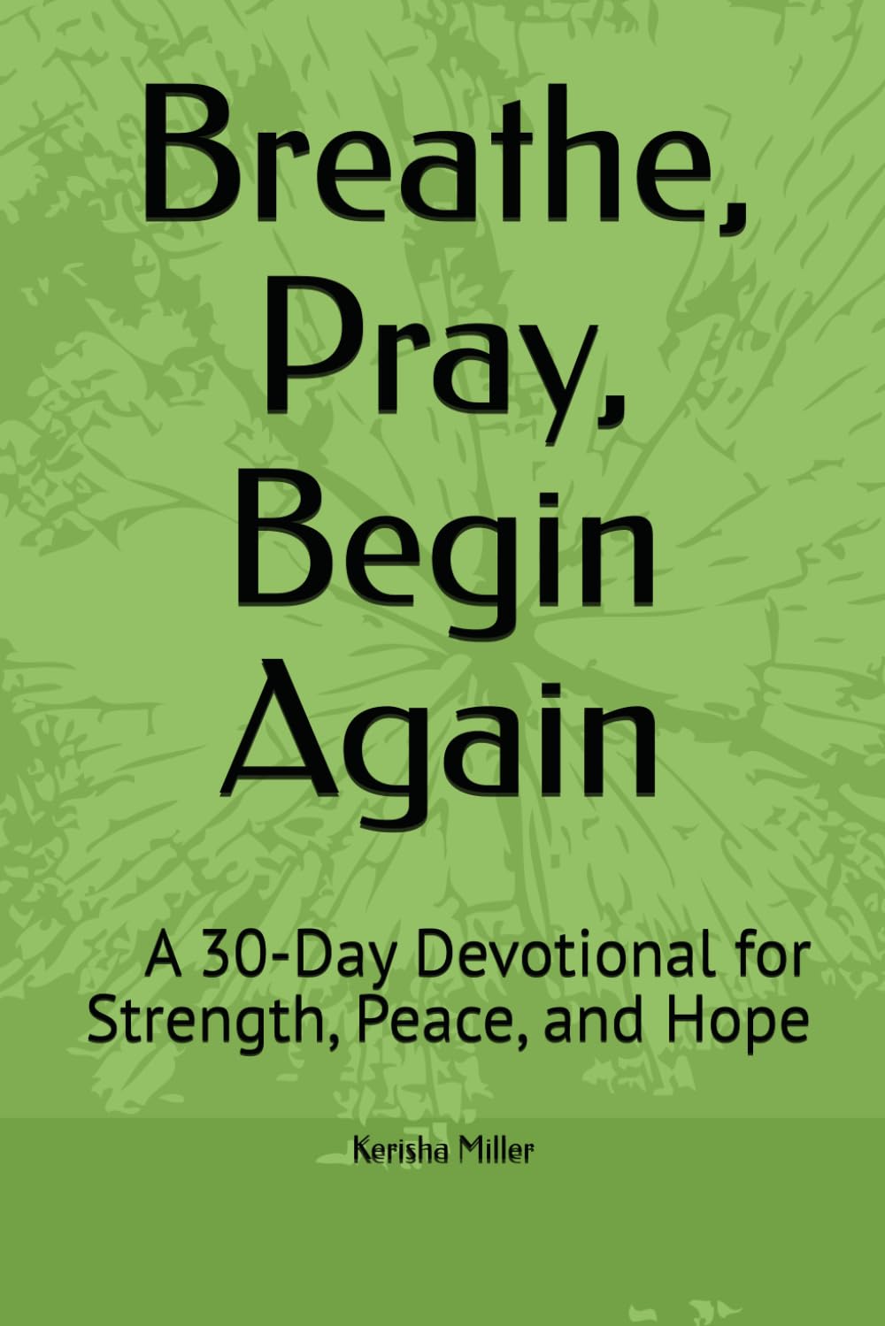 Breathe, Pray, Begin Again: A 30-Day Devotional for Strength, Peace, and Hope