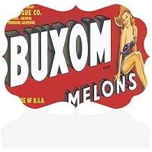 Fastasticdeals Horizontal Home Decor Wall Sign Buxom Melons Vintage Poster 1 Women Art Picture Frame Benelux Shape 12x8Inches
