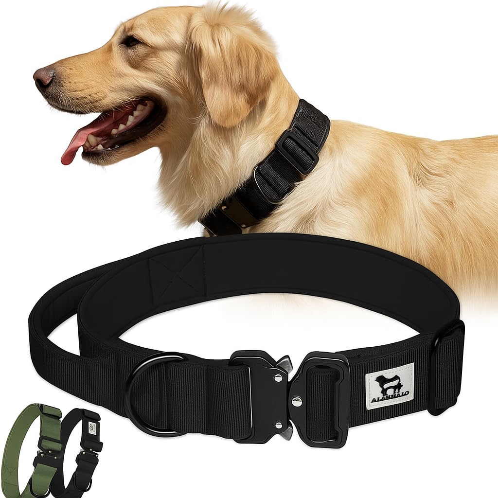 Collier tactique chien moyen en nylon robuste avec poignée de contrôle pour éducation canine