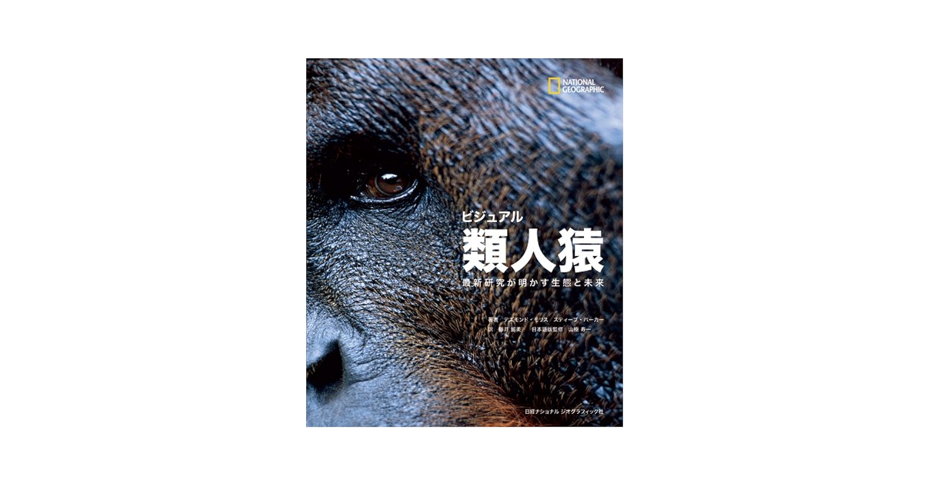 ビジュアル 類人猿 | デズモンド・モリスほか |本 | 通販 | Amazon