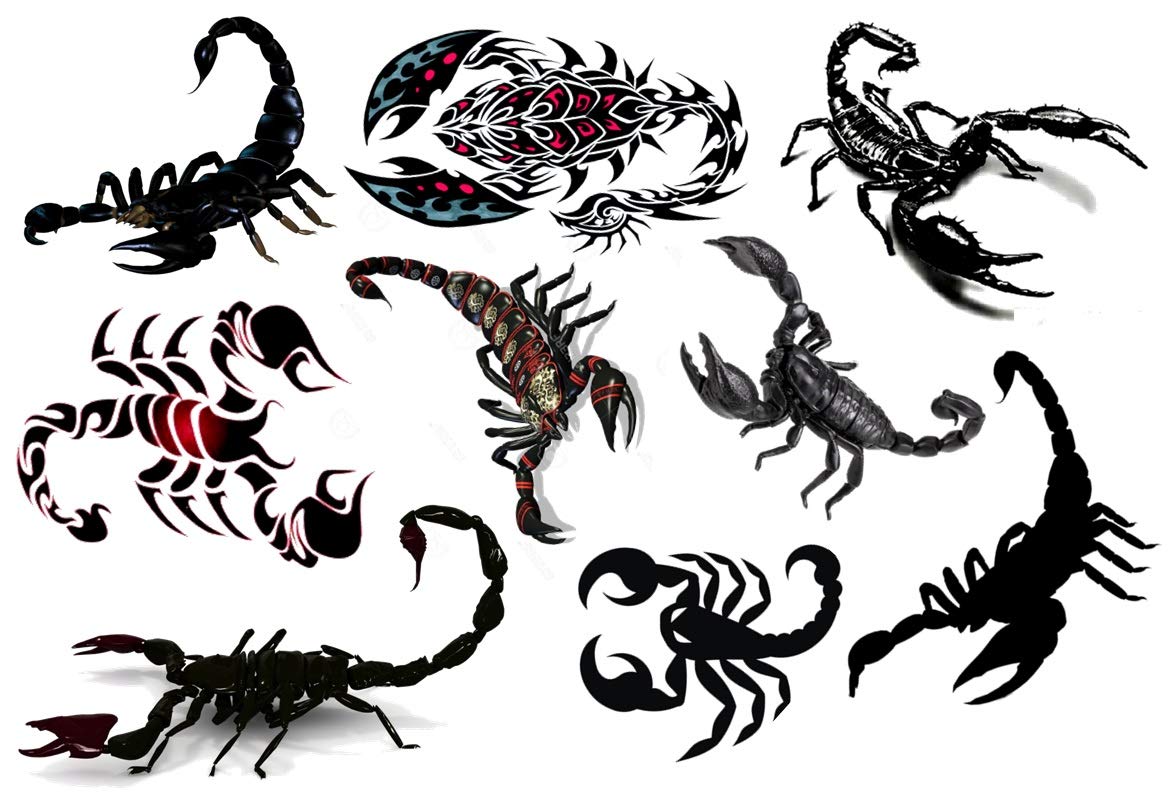 Kaz Creations Scorpion Collection Scorpion Temporary Tattoos Scorpion Collection (Scorpion Collection Scorpion Temporary Tattoos)
