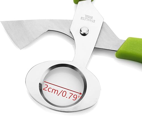 Miniatura 2 de MIAO JIN 12 tijeras de huevo de acero inoxidable para pájaros, cortadores de cáscara de huevo de codorniz, separador, tijeras de huevo de codorniz,