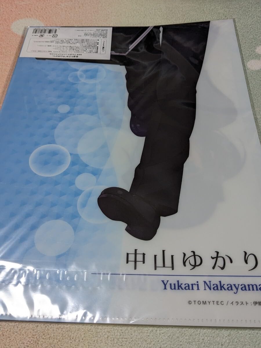 Amazon.co.jp: 鉄道むすめ 中山ゆかり A4 ダブルポケットクリア