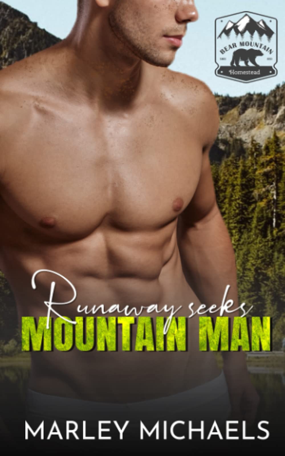 Runaway Seeks Mountain Man (Bear Mountain Brothers)