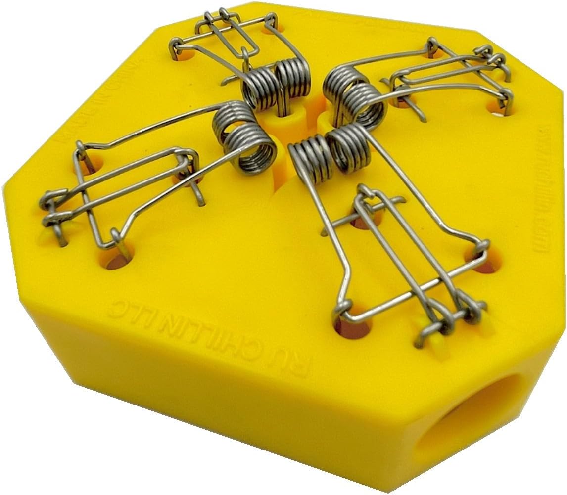 Amazon.com : RU CHILLIN Multi Catch Mice Traps | 4-in-1 | Mouse Traps ...