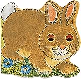 Pocket Bunny (Pocket Pals)