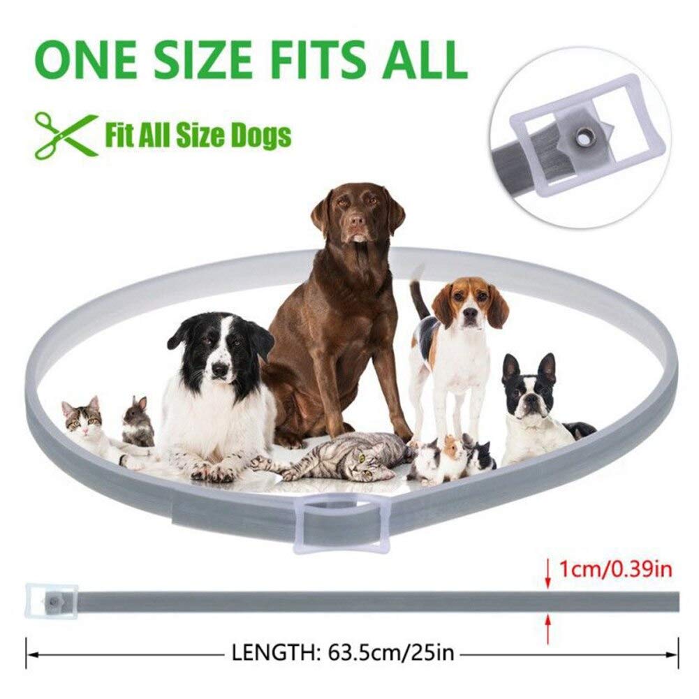 Vaselonsa Adjustable Waterproof Protective Anti Insect Bite Proof Easy Wear Pet Collar Dog Cat Tick Flea Neck - Electronics Health Events Sports Home Girls Beauty Garden Toys Accessories Co