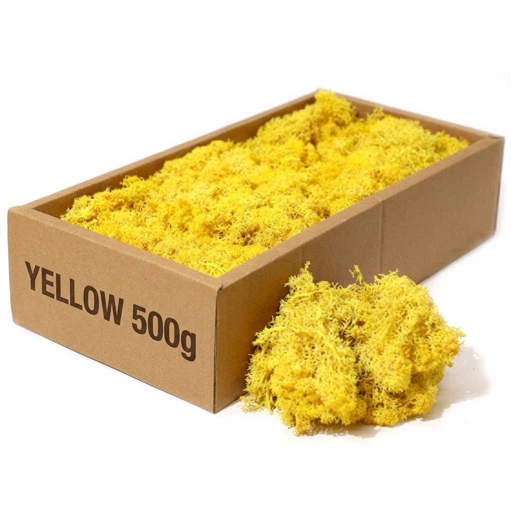 floral supplies Stabilised Reindeer Moss – Preserved Lichen for Model Scenery, Railway Landscapes, Terrariums, Floristry & Art Crafts – Soft Texture & Maintenance Free (Yellow, 100g)